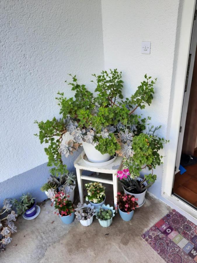 Apartmani Gracela โวดีเซ ภายนอก รูปภาพ